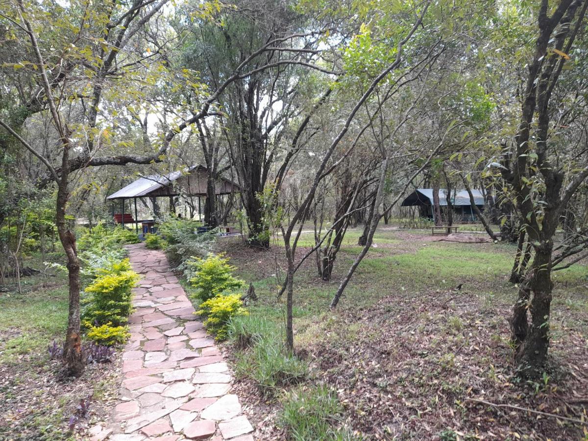 Leruk Maasai Mara Camp Hotel Sekenani ภายนอก รูปภาพ