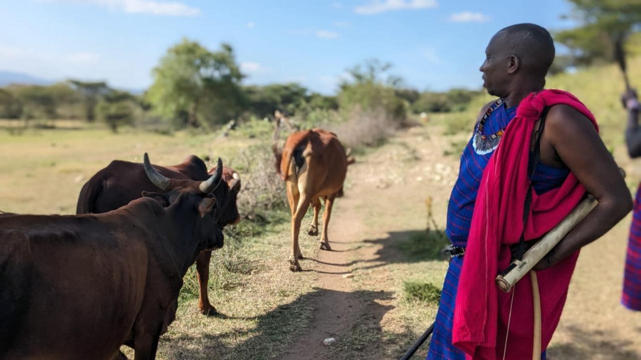 Leruk Maasai Mara Camp Hotel Sekenani ภายนอก รูปภาพ